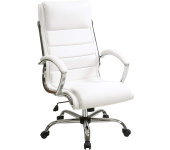 Executive Office Chair (FL1327C-U11)