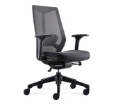 Ignite Ergonomic Task chair -D00253M-BLack Mesh/Black Seat