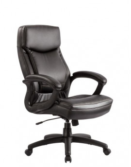 Executive Chair(CS-658E)