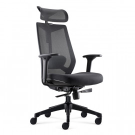Ignite Ergonomic Task chair with Headrest-D00253H-BlackMesh-BLack Seat