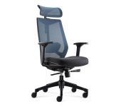 Ignite Ergonomic Task chair with Headrest-D00253H-BLUe Mesh/BLack Seat