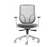Office Chair (D00258M-Grey)